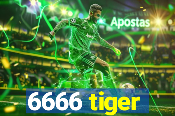 6666 tiger